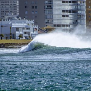 Cabo San Lucas: Tejiendo Redes de Acción Ciudadana hacia un Futuro Sostenible | Liderazgo Ciudadano y Transformación en Baja California Sur