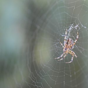 Casos Resueltos en Cabo San Lucas: Lecciones de la Investigación de Homicidios | Seguridad en Baja California Sur