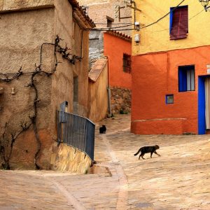 Voces de la Comunidad: Inspirando el Liderazgo a Través de la Acción Ciudadana | Liderazgo Ciudadano y Transformación en Baja California Sur