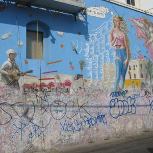 Los Delitos contra la Propiedad en Cabo San Lucas: Estadísticas y Medidas de Prevención | Seguridad en Baja California Sur