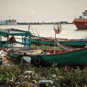 vietnam-4160866_960_720.jpg Claro, aquí tienes una lista de títulos informativos y atractivos sobre el tema de especialista en criminalística digital: | Seguridad en Baja California Sur