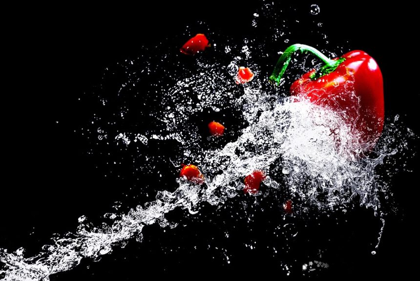 water-2943518_960_720.jpg Fotografía de Aventura: Retratos de la Vida Silvestre en Cabo | Fotografía Profesional y Momentos Especiales en Baja California Sur