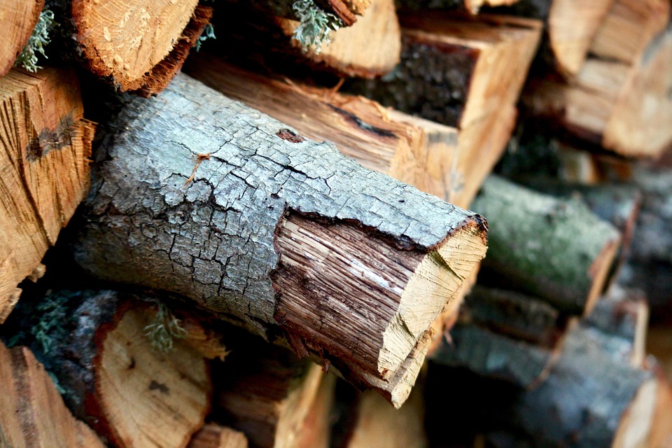 wood-2909682_960_720.jpg Evidencia Forense en la Investigación de Homicidios: Avances y Retos en Cabo San Lucas | Seguridad en Baja California Sur