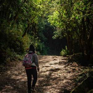 Rumbo-a-un-Envejecimiento-Activo-Oportunidades-Deportivas-para-Adultos-Mayores.jpg Rumbo a un Envejecimiento Activo: Oportunidades Deportivas para Adultos Mayores en Cabo San Lucas | Inclusión Social y Transformación en Baja California Sur