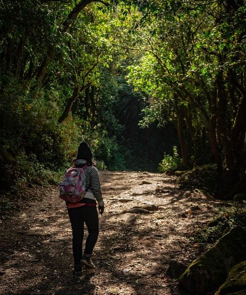 Rumbo a un Envejecimiento Activo: Oportunidades Deportivas para Adultos Mayores en Cabo San Lucas | Inclusión Social y Transformación en Baja California Sur