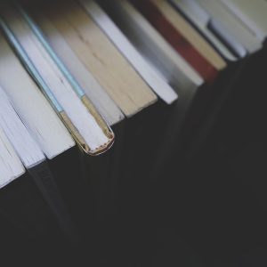 Investigación sobre Actividades Sospechosas: Herramientas para una Comunidad Segura | Seguridad en Baja California Sur