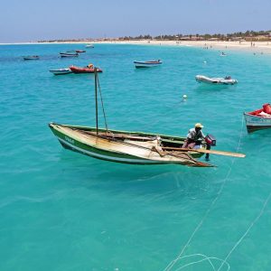 fisherman-678467_960_720.jpg Cabo San Lucas: Ejemplos de Éxito en la Acción Ciudadana | Liderazgo Ciudadano y Transformación en Baja California Sur