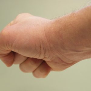 hand-185176_960_720.jpg Técnicas Esenciales para Fotografiar la Naturaleza en Cabo San Lucas | Fotografía Profesional y Momentos Especiales en Baja California Sur