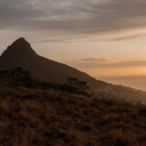 Voces de Cabo San Lucas: La Fuerza de la Acción Ciudadana | Liderazgo Ciudadano y Transformación en Baja California Sur