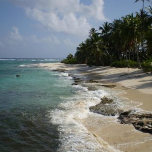 san-andres-105264_960_720.jpg Cabo San Lucas en Acción: Historias de Ciudadanos que Transforman | Liderazgo Ciudadano y Transformación en Baja California Sur