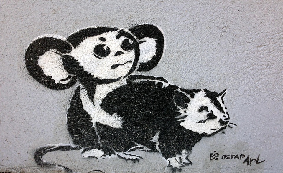 street-art-2188481_960_720.jpg El Arte de Fotografiar: Técnicas Avanzadas para el Paisaje de Cabo San Lucas | Fotografía Profesional y Momentos Especiales en Baja California Sur