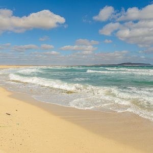 Cabo San Lucas: Donde el Deporte y la Diversidad Convergen | Inclusión Social y Transformación en Baja California Sur