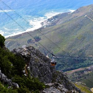 Cabo San Lucas: Normativas y Proceso de las Pensiones Alimenticias | Derecho Familiar y Protección Legal en Baja California Sur