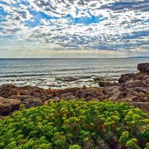 Cabo San Lucas y el Poder del Deporte: Inclusión para Todos | Inclusión Social y Transformación en Baja California Sur
