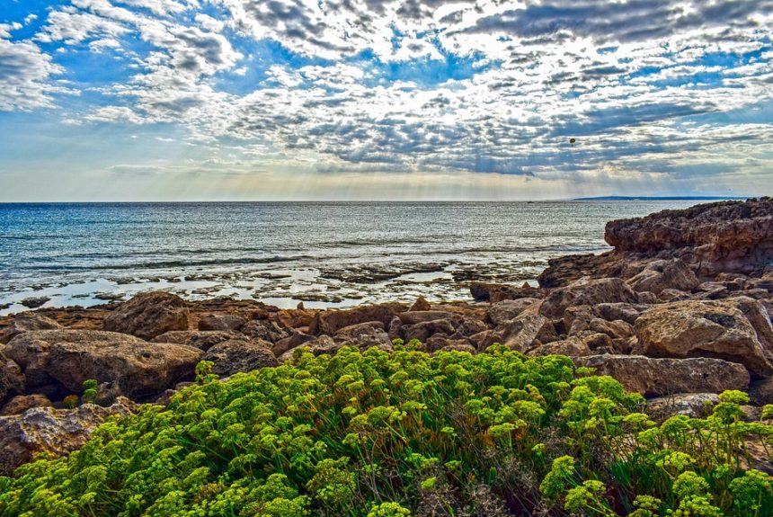 Cabo San Lucas y el Poder del Deporte: Inclusión para Todos | Inclusión Social y Transformación en Baja California Sur
