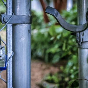 Claves para Entender el Proceso de Pensión Alimenticia en Cabo San Lucas | Derecho Familiar y Protección Legal en Baja California Sur