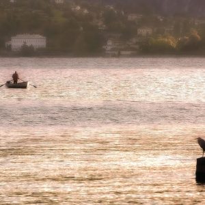 Como-Negociar-una-Pension-Alimenticia-Justa-Consejos-y-Recomendaciones.jpg Cómo Negociar una Pensión Alimenticia Justa: Consejos y Recomendaciones | Derecho Familiar y Protección Legal en Baja California Sur