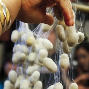 El-Proceso-Judicial-para-Establecer-Pensiones-Alimenticias-en-Mexico.jpg El Proceso Judicial para Establecer Pensiones Alimenticias en México | Derecho Familiar y Protección Legal en Baja California Sur