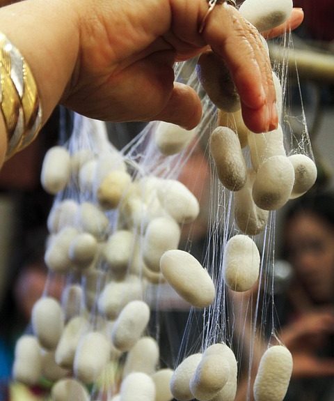 El-Proceso-Judicial-para-Establecer-Pensiones-Alimenticias-en-Mexico.jpg El Proceso Judicial para Establecer Pensiones Alimenticias en México | Derecho Familiar y Protección Legal en Baja California Sur