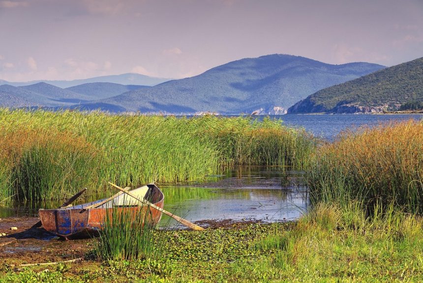 Más que un Juego: La Relevancia del Deporte Escolar Inclusivo en la Comunidad de Cabo San Lucas | Inclusión Social y Transformación en Baja California Sur