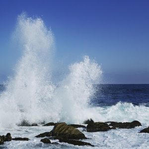 Rompiendo Barreras: Programas Deportivos que Transforman Vidas en Cabo San Lucas | Inclusión Social y Transformación en Baja California Sur