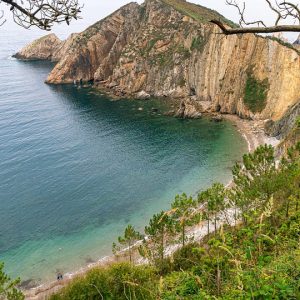 De la Playa al Centro: Cómo la Ciudadanía Activa Impacta Cabo San Lucas | Liderazgo Ciudadano y Transformación en Baja California Sur