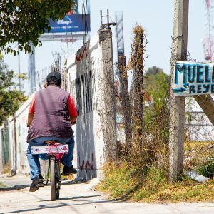 bicycle-6189989_960_720.jpg Movilización Social Responsable: Construyendo un Futuro Sostenible en Cabo San Lucas | Liderazgo Ciudadano y Transformación en Baja California Sur