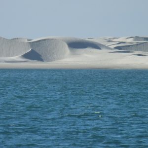 Baja California Sur a través del Lente: Una Guía para la Fotografía Artística | Fotografía Profesional y Momentos Especiales en Baja California Sur