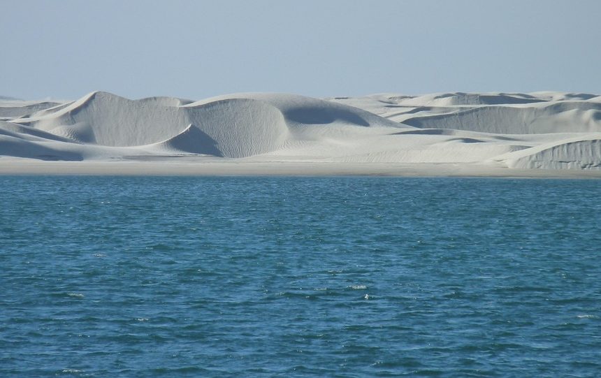 Baja California Sur a través del Lente: Una Guía para la Fotografía Artística | Fotografía Profesional y Momentos Especiales en Baja California Sur