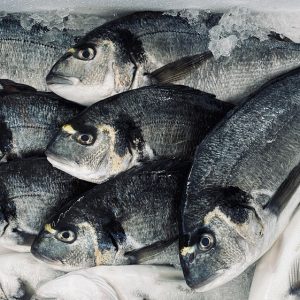Capturando la Esencia de Cabo San Lucas: Fotografía Artística en Baja California Sur | Fotografía Profesional y Momentos Especiales en Baja California Sur