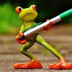 frog-1446239_960_720.jpg Estos títulos están diseñados para captar la atención y fomentar el interés en el tema de la seguridad ciudadana y la detección de sabotaje. | Seguridad en Baja California Sur