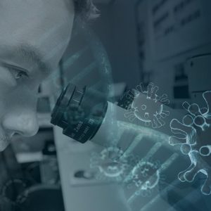 Metodologías de Investigación Criminal: Claves para Combatir la Delincuencia en Baja California Sur | Seguridad en Baja California Sur