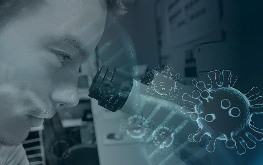 Metodologías de Investigación Criminal: Claves para Combatir la Delincuencia en Baja California Sur | Seguridad en Baja California Sur