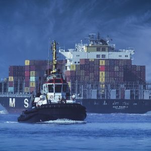 Logística y Recursos en la Investigación Criminal: Cómo Optimizar Equipos en Cabo San Lucas | Seguridad en Baja California Sur
