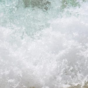 Un Cabo San Lucas para Todos: El Rol de la Ciudadanía Participativa | Liderazgo Ciudadano y Transformación en Baja California Sur