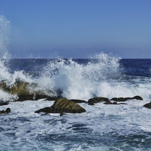 Rompiendo barreras: El deporte como motor de inclusión en el trabajo | Inclusión Social y Transformación en Baja California Sur