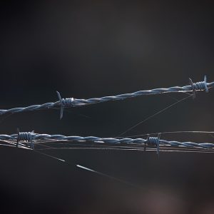 Seguridad Ciudadana en Cabo San Lucas: Estrategias Efectivas para Prevenir el Delito | Seguridad en Baja California Sur