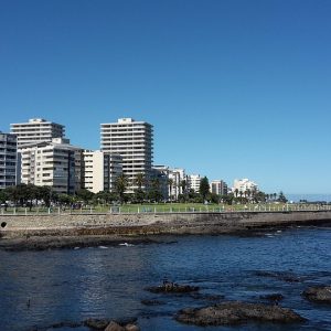 Cabo San Lucas en Acción: Historias de Ciudadanos que Transforman Realidades | Liderazgo Ciudadano y Transformación en Baja California Sur