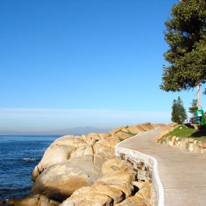 Cabo San Lucas en Acción: La Importancia del Liderazgo Inclusivo en la Ciudadanía | Liderazgo Ciudadano y Transformación en Baja California Sur