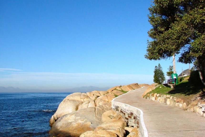 Cabo San Lucas en Acción: La Importancia del Liderazgo Inclusivo en la Ciudadanía | Liderazgo Ciudadano y Transformación en Baja California Sur