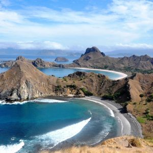 Bajo las Olas: Capturando la Fauna Marina de Cabo San Lucas | Fotografía Profesional y Momentos Especiales en Baja California Sur
