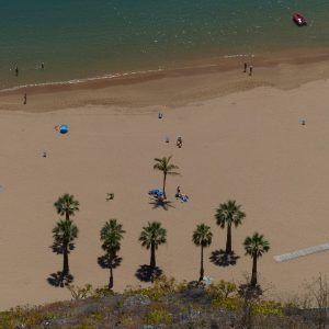 De la Playa a la Plaza: Cómo Cabo San Lucas Inspira el Cambio Social | Liderazgo Ciudadano y Transformación en Baja California Sur